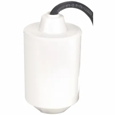 Dayton Float Switch: Normally Closed (Pump Up), 230V AC, 20 ft Cord Lg, 45° Below Horizontal - General-Purpose Tether Float Switches