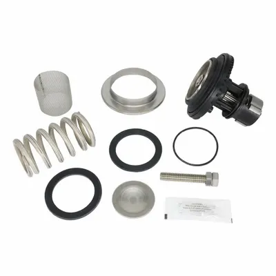 WILKINS Valve Repair Kit RK2-600XL3HR - Valve Repair Kits