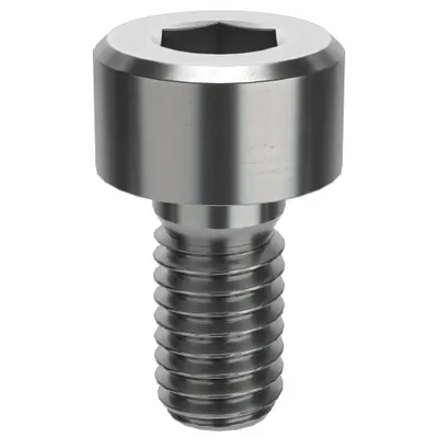 AMPG Socket Head Cap Screw: M3x0.50 Thread Size, 6 mm Lg, Std, Plain, Stainless Steel - Metric System Standard Socket Head Cap Screws