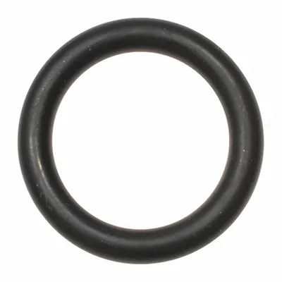 Dayton Solvent Kit: Solvent Kit, PPKITSOLRBP3VG, 4VCR2/4VCR3/4VCR4, (2) O-Rings - Seals & Gaskets