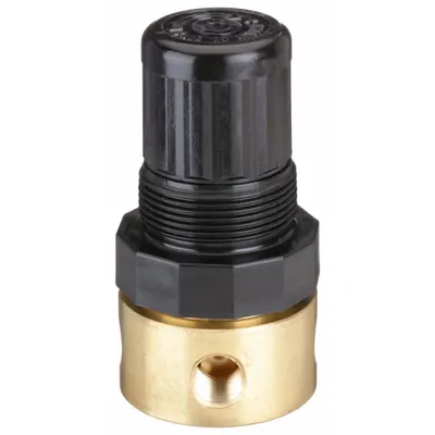 SPEEDAIRE Compressed Air Regulator: Brass, 1/8 in NPT, 15 cfm, 5 psi to 125 psi - Speedaire FRL Air Regulators
