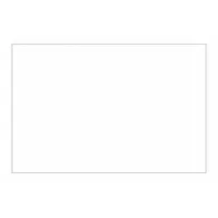 Block Out Label,2x3",White: 500 PK (MPN DL1382W)