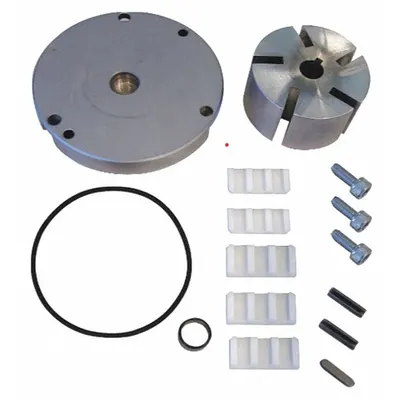 FILL-RITE Repair Kit: Mfr Part # KITFR32V - Pump Rebuild Kits