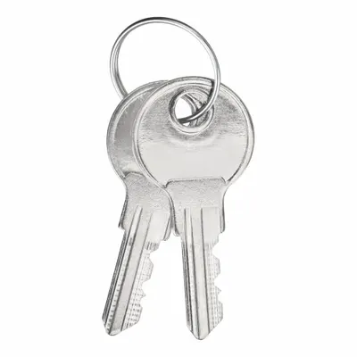 SAFETY TECHNOLOGY INTERNATIONAL Key: Nickel, 1 3/4 in Overall Lg, KIT-H18053 - Keys for Alarm & Wall Fixture Covers