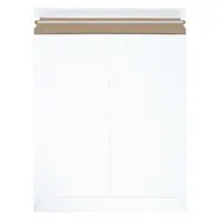 Mailer Envelopes: 12 3/4 in x 15 in, 12 in x 15 in, 0.02 in Material Thick, With Tear Strip, 100 PK (MPN RM4SS)