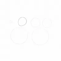 FILL-RITE Teflon Seal Kit: Teflon Seal Kit, Fill-Rite, (6) O-Rings (MPN SK30PTF)