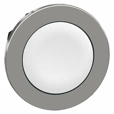 SCHNEIDER Flush Push Button: 30 mm Mounting Size, Metallic - Flush-Mount & Recessed Push-Button Operators