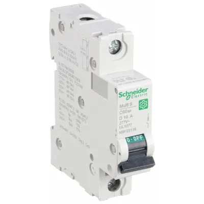 SCHNEIDER Supplementary Protector: 16 A Amps, 60V DC, 14kA at 120/240V AC, Screw Clamp - D-Curve, 1-Pole UL1077 DIN Rail-Mount Supplementary Protectors