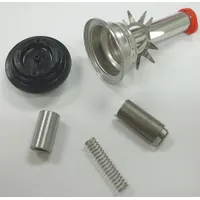ASCO Valve Rebuild Kit (MPN 314633)