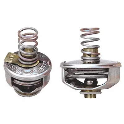 BARNES & JONES Steam Trap Cage Unit: For Hoffman - Thermostatic Cage Units