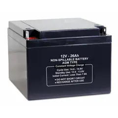 Sealed Lead Acid Battery: 12V DC