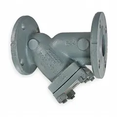 This flanged Y strainer features a 304 stainless steel perforated screen with 0.062 in openings and a 316 Tanged Graphoil seal. It is used to remove debris from steam, water, and industrial fluid systems, protecting downstream equipment such as valves and pumps.