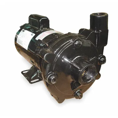 Dayton Centrifugal Pump: 3/4 hp, 115/230V AC, 98 ft Max Head, 1 1/4 in, 1 in Intake and Disch - 1/4 to 3/4 HP Straight Centrifugal Pumps