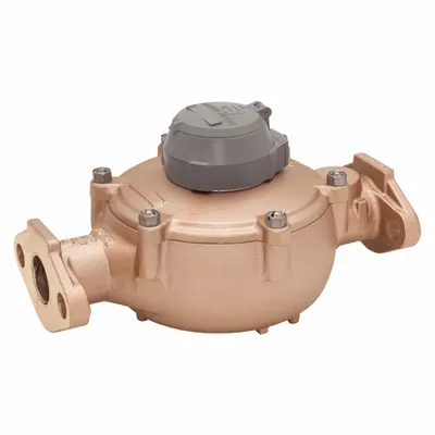 BADGER Positive Displacement Flowmeter: Disc Meter, Water, Bronze, 1 1/2 in Flange - Nutating Disc Flowmeters for Water