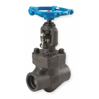 SHARPE Globe Valve: For Steam Media, Carbon Steel, Z-Body, 1/2 in Pipe Size, Socket x Socket, Female (MPN 4371006210)