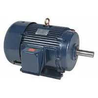 MARATHON MOTORS General Purpose Motor: Rigid Base Mount, Totally Enclosed Fan Cooled, 125 hp (MPN 444TSTFCD6001)