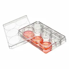 Polystyrene cell culture plate with 6 square wells, each 2.9 mL capacity. Colorless, tissue culture treated for adherent cell growth. RNase/DNase free. Suitable for cell culture and biological assays.