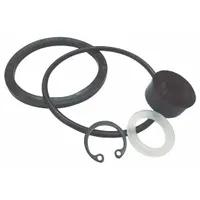 DAYTON Seal and Gasket Kit: For 3BY42 (MPN 3BY4209)