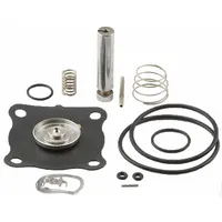 ASCO Valve Rebuild Kit (MPN 166066)