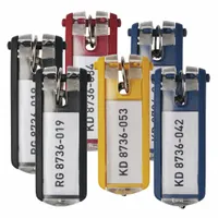 Key Tag: 6 Key Tags, Rectangle, Multi-Color, Plastic, Blank Label, 2 5/8 in Overall Ht, 6 PK (MPN 195700)