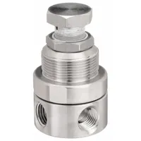 WILKERSON Compressed Air Regulator: 316 Stainless Steel, 1/4 in NPT, 12 cfm, 0 psi to 125 psi, Knob (MPN SR1-02-LAS0)