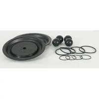 DAYTON Fluid End Repair Kit: Fluid End Repair Kit, 22A613, Santoprene, Santoprene