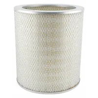 BALDWIN FILTERS Automotive Air Filter: Round-Oval, Engine, Round, Axial Seal, 11 15/32 in Overall Ht (MPN PA1607)