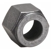 PARKER Compression Fitting Nut: 1/2 in OD Fitting Size, Compression, Stainless Steel (MPN 8 BZ-SS)