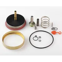 ASCO Valve Rebuild Kit (MPN 310493)