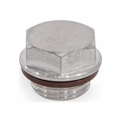 JW WINCO 742.5-19-G1/4-O-1 Stainless Steel Threaded Plug with - Stainless Steel Threaded Plugs
