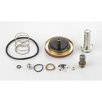 ASCO Valve Rebuild Kit (MPN 304395)