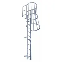 COTTERMAN Fixed Ladder with Safety Cage: 28 ft Overall Ht, 39 in Overall Wd, Steel, 25 Rungs (MPN F25WC C1)