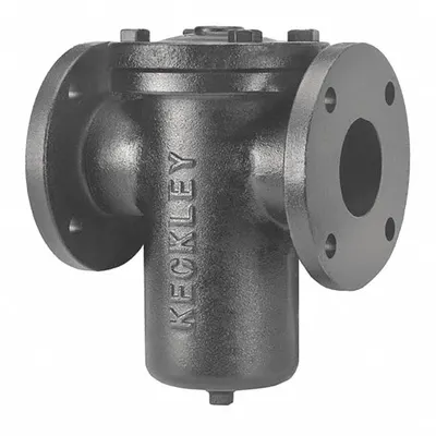 KECKLEY 21/21FFS-CI125P34-FBI-GFV Cast Iron Basket Strainer - Cast Iron Basket Strainers