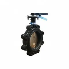 This 6-inch cast iron butterfly valve features a concentric design with lug-style body for dead-end service and installation between flanges. It includes a lever handle and ductile iron disc, rated for 200 psi CWP. Suitable for on-off flow control in water, air, and non-corrosive industrial piping systems.
