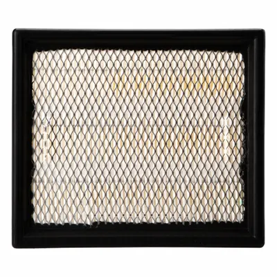 FLEETGUARD Air Filter: Panel, Cabin Air Filter, Rectangular, 8 31/32 in Overall Lg - Panel Cabin Air Filters