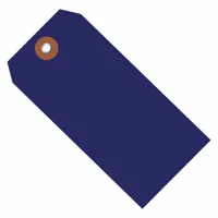 Shipping Tag,Plastic,6 1/4x3 1/8",PK100: #8, 6 1/4 in Tag Ht, 3 1/8 in Tag Wd, Blue, Plastic, 100 PK (MPN G26062)