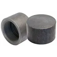ANVIL Cap: Cap, Steel, Class 3000, 9,000 psi, 1 in, NPT Threaded (MPN 0361502859)