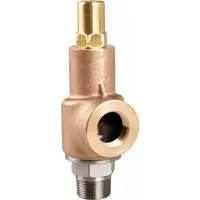 AQUATROL Adjustable Relief Valve: MNPT x FNPT, 1 1/4 in x 1 1/4 in, Bronze, 250 psi Max. Op Pressure (MPN 69D1B1M2U1-250)