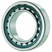 This general purpose cylindrical roller bearing features an NU design with a separable outer ring, allowing axial displacement of the shaft relative to the housing. It has a 20 mm bore, 47 mm outside diameter, and 14 mm overall width, constructed from alloy steel. The bearing is commonly used in gearboxes, pumps, compressors, and electric motors where radial loads and thermal expansion need accommodation