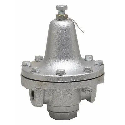 Watts Process Steam Pressure Regulator: Iron, FNPT x FNPT - Steam Pressure Regulators
