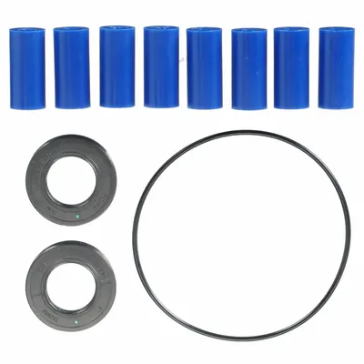 Dayton Roller Spray Repair Kit: 3430-0213, 3YB43//3YB56 - Repair Kits for Roller Spray Pumps