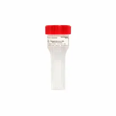 This staining jar is designed for cytology slide processing. Made from polypropylene copolymer, it resists alcohol-based reagents. The jar accommodates up to 4 slides for batch staining in clinical laboratory applications.