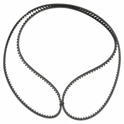 CONTINENTAL Timing Belt: One Side, Modified Curvilinear, Conti Falcon PD, 8 mm Pitch - GT Section Timing Belts