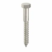 Hex Head Lag Screw: 3/8 in Size, 3 in Lg, Stainless Steel, NL-19, 10 PK (MPN FBLB383P10)
