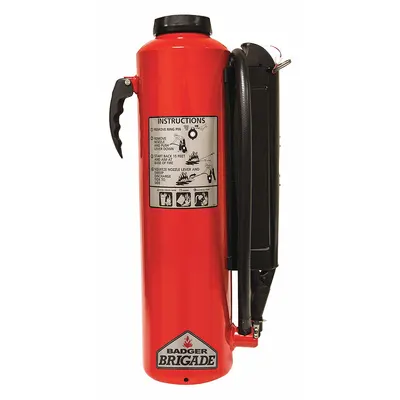 BADGER Fire Extinguisher: 22 lb Extinguisher Capacity, 2A:40B:C - Class ABC Fire Extinguishers