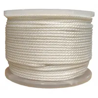 APPROVED VENDOR Twine: Braid, 3/16 in Dia, 160 lb Working Load Limit, 500 ft Overall Lg, Polyester