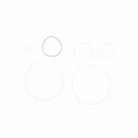 FILL-RITE Teflon Seal Kit: Teflon Seal Kit, Fill-Rite, (6) O-Rings (MPN SK20PTF)