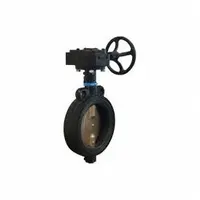 MILWAUKEE VALVE Butterfly Valve: 12 in Pipe Size, Concentric, 200 psi Max. Pressure (CWP), Wafer, M (MPN MW-333E 12)