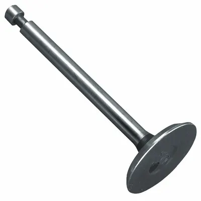 E-Z-GO Exhaust Valve (MPN 72508G01) - Personnel & Utility Vehicle Accessories