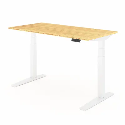 FLEXISPOT Standing Desk: Tan, Bamboo, 55 in Overall Wd, 28 in Overall Dp - Electric Adjustable-Height Desks